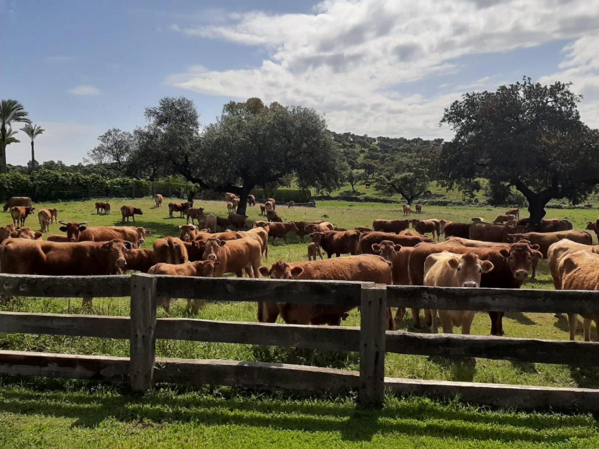 Alojamiento Rural Finca Barral El Garrobo Dış mekan fotoğraf