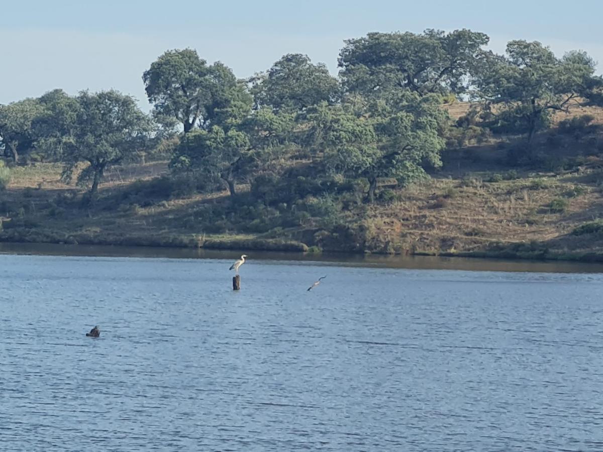 Alojamiento Rural Finca Barral El Garrobo Dış mekan fotoğraf