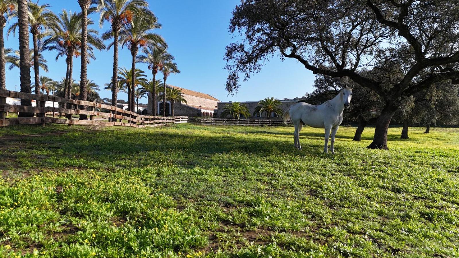 Alojamiento Rural Finca Barral El Garrobo Dış mekan fotoğraf