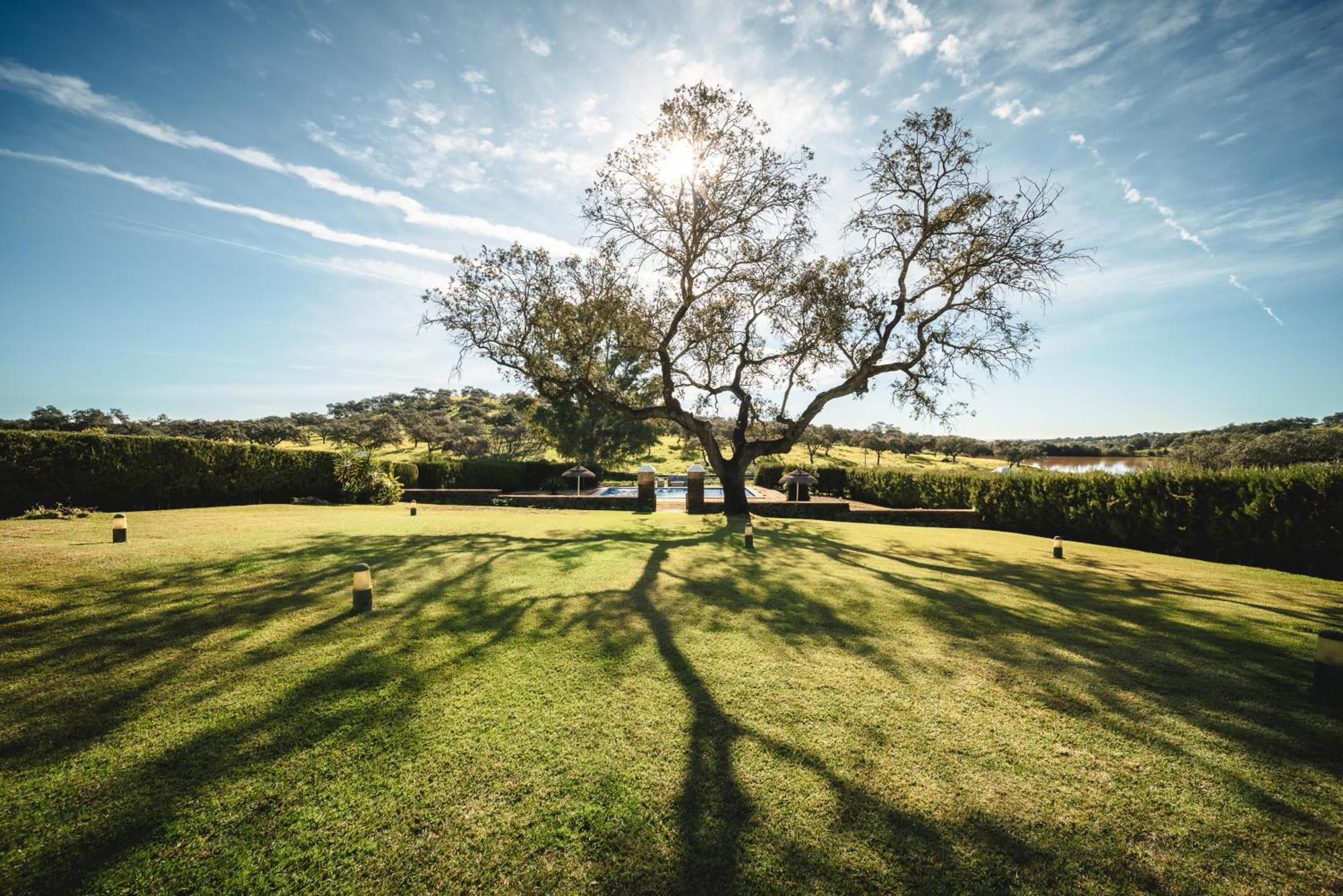 Alojamiento Rural Finca Barral El Garrobo Dış mekan fotoğraf