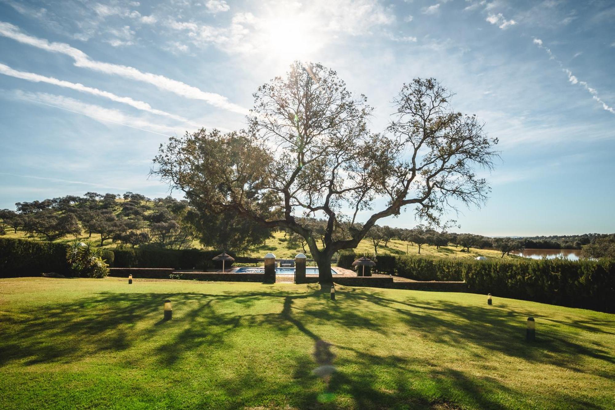 Alojamiento Rural Finca Barral El Garrobo Dış mekan fotoğraf