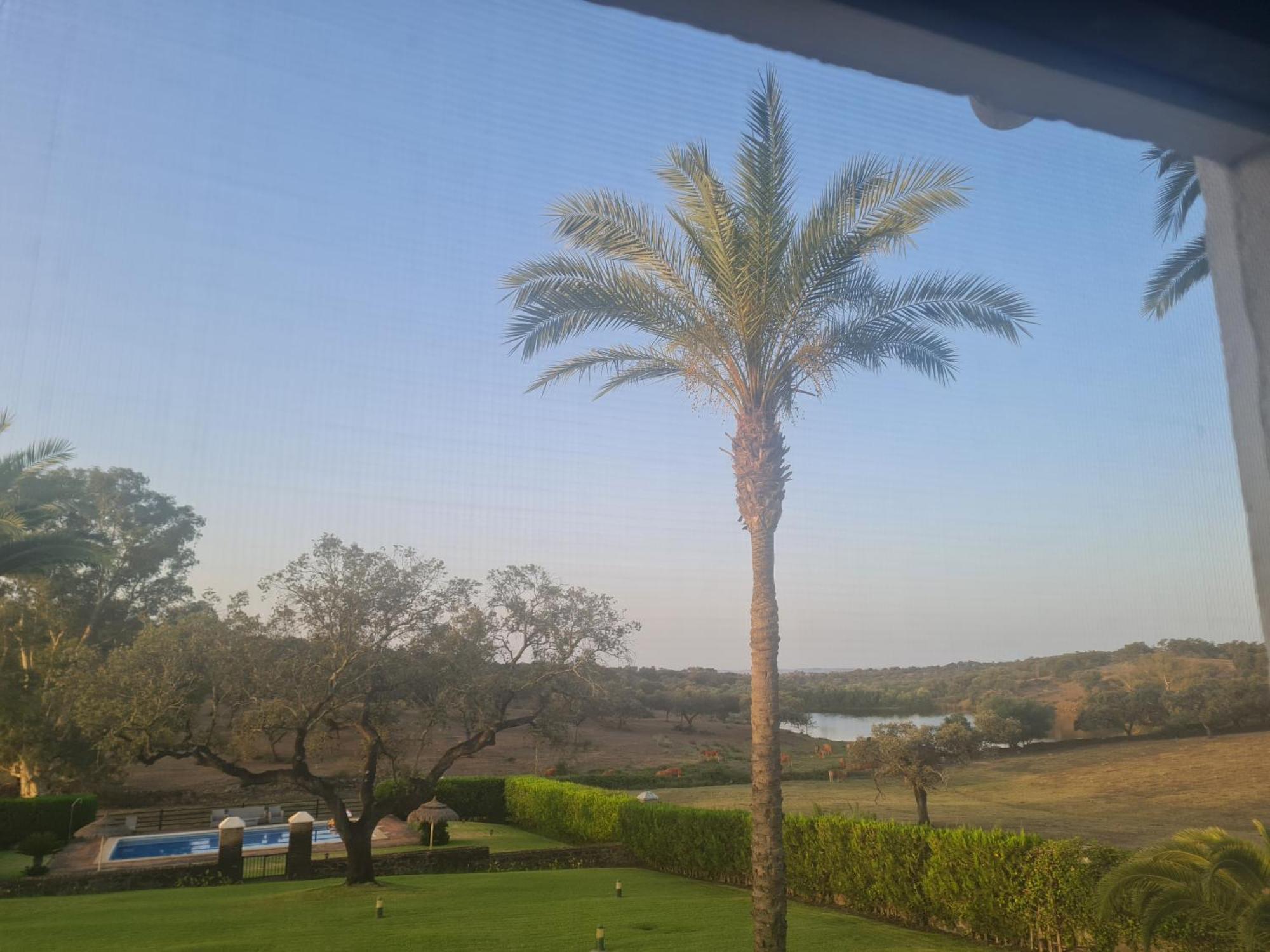 Alojamiento Rural Finca Barral El Garrobo Dış mekan fotoğraf