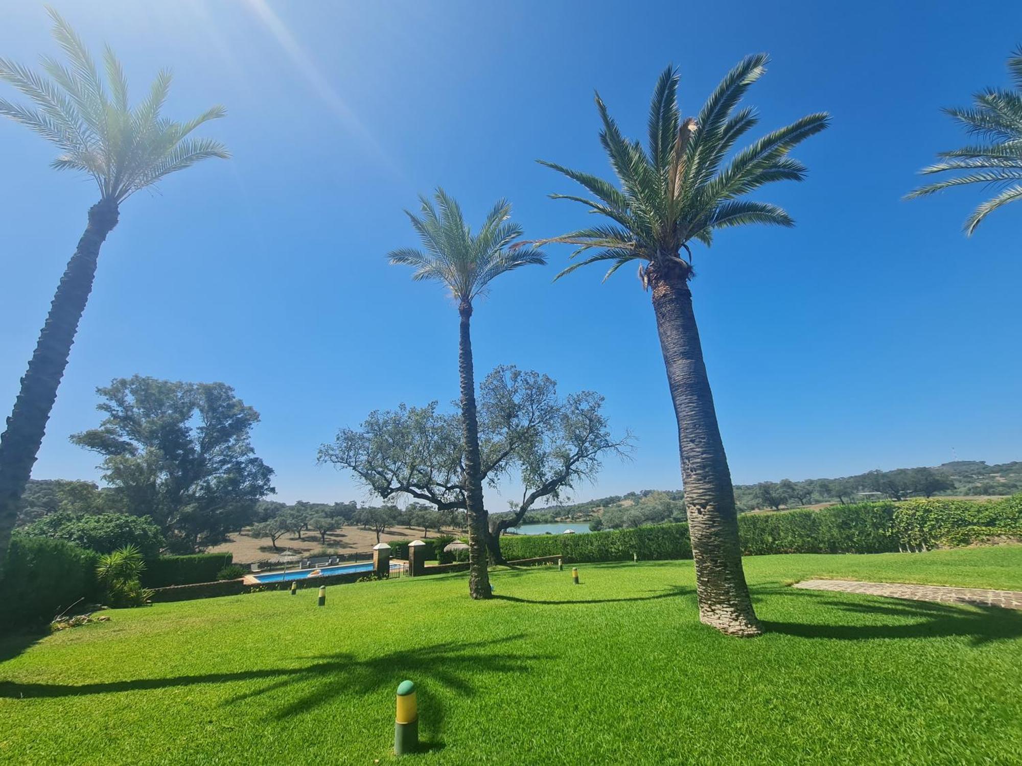 Alojamiento Rural Finca Barral El Garrobo Dış mekan fotoğraf