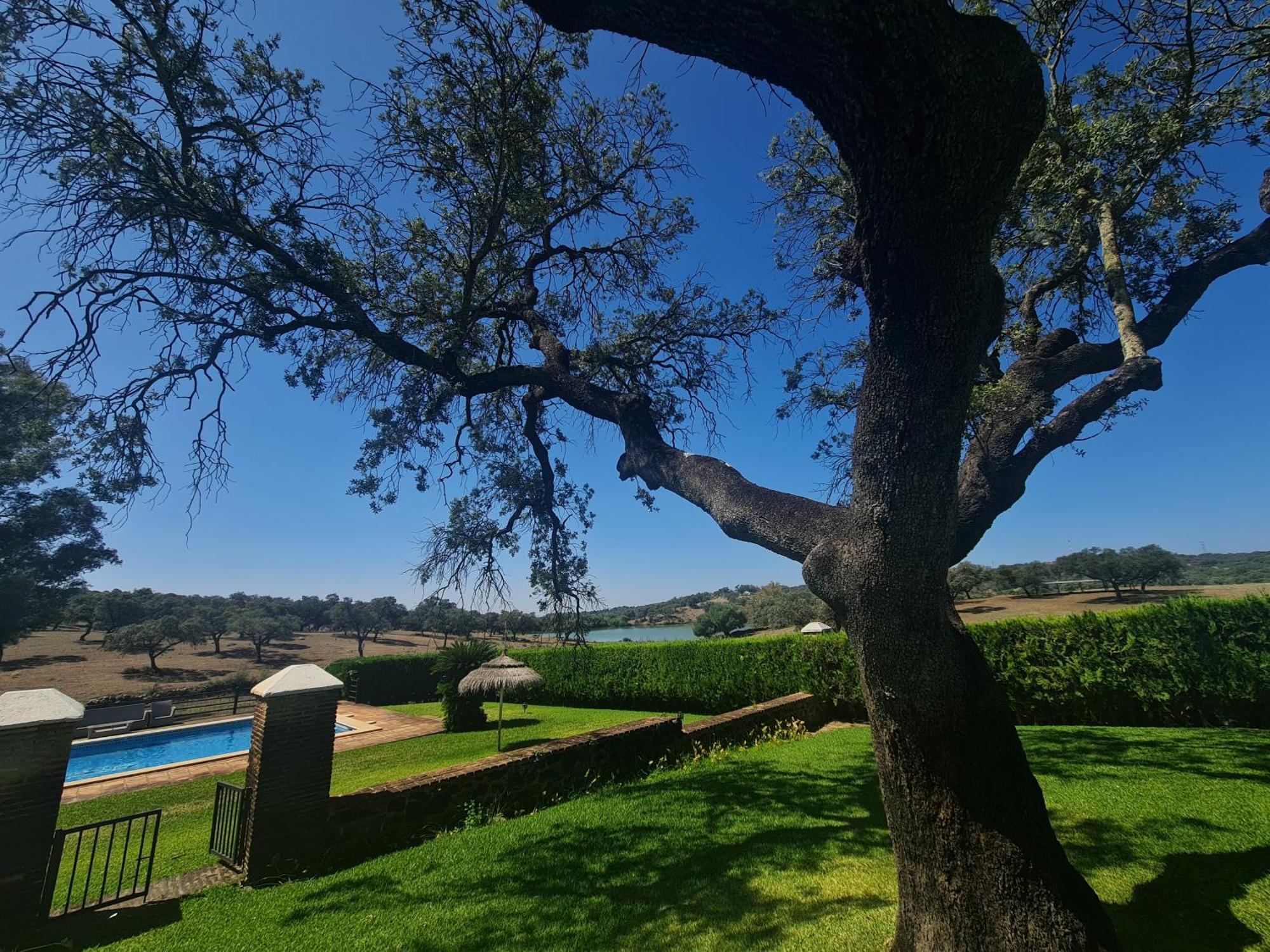 Alojamiento Rural Finca Barral El Garrobo Dış mekan fotoğraf